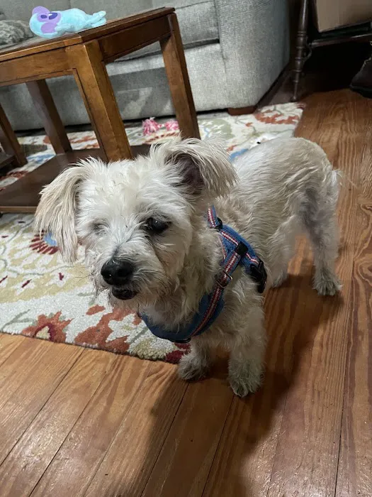 Live Oak Veterinary Hospital 8