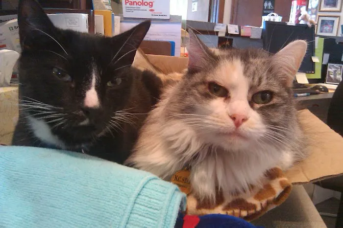 Live Oak Veterinary Hospital 9
