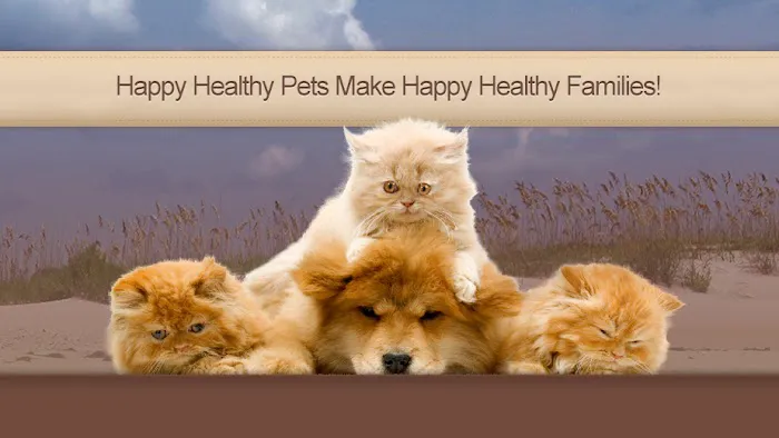 Live Oak Veterinary Hospital 5