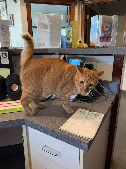 Live Oak Veterinary Hospital 3