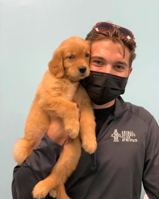 Austin Veterinary Animal Hospital 1