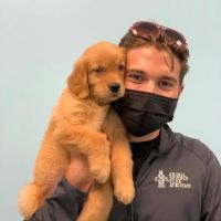 Austin Veterinary Animal Hospital ico