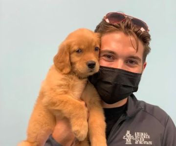 Austin Veterinary Animal Hospital