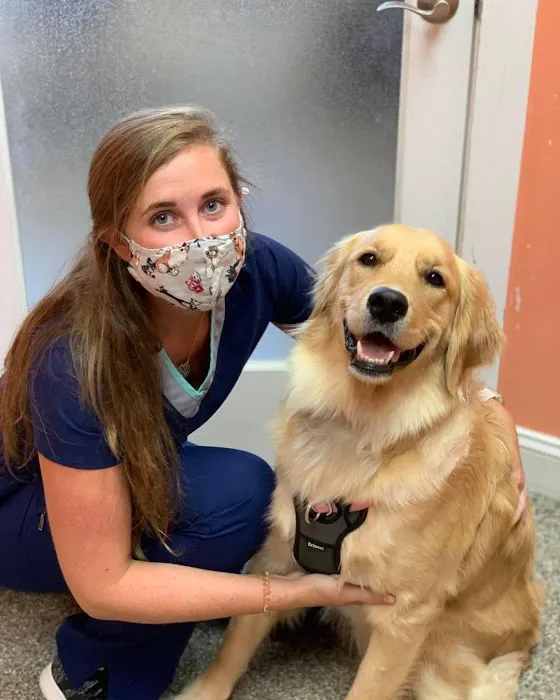 Austin Veterinary Animal Hospital 3