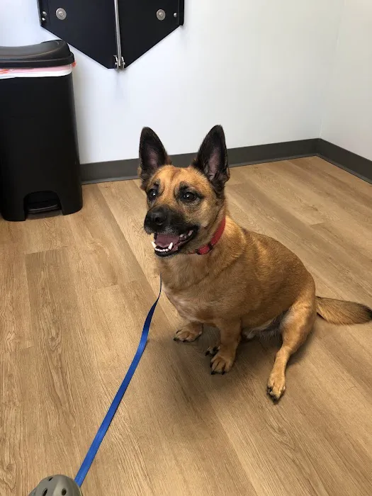 Tennessee Valley Veterinary Clinic 2