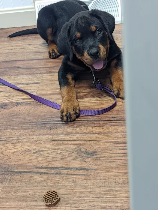 Moore Veterinary Services 9