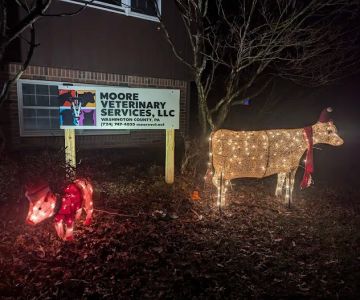 Moore Veterinary Services
