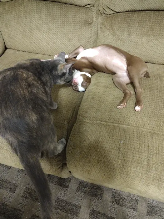 Chestnut Veterinary Clinic 9