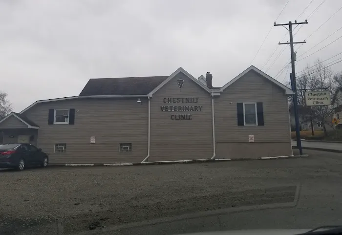 Chestnut Veterinary Clinic 10
