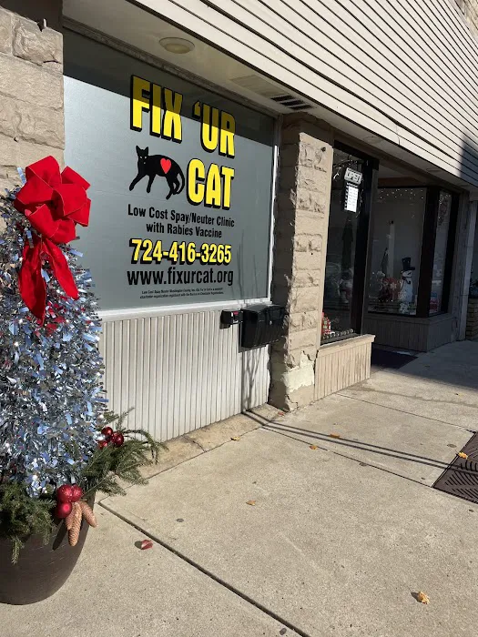 Fix 'Ur Cat 7