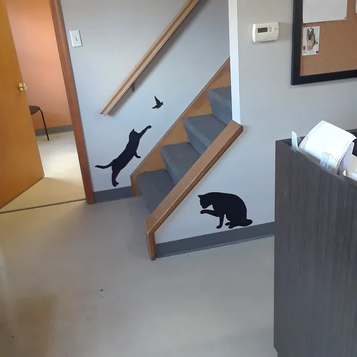 Brush Run Veterinary Clinic 8