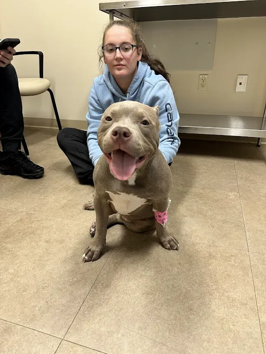 MedVet Pittsburgh 10