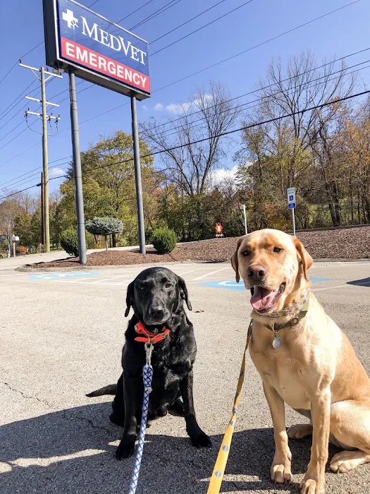 MedVet Pittsburgh 8