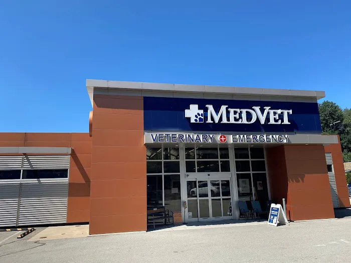 MedVet Pittsburgh 4