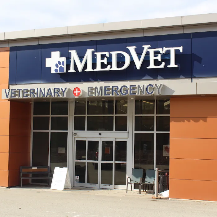 MedVet Pittsburgh 9
