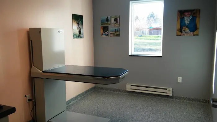 A Step Up Veterinary Clinic 3