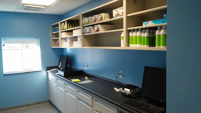 A Step Up Veterinary Clinic 4