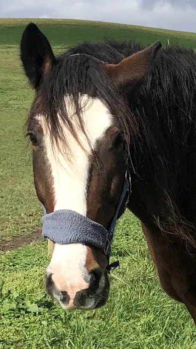 Little Creek Farm Vet 7