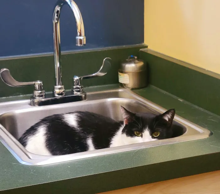 Bridgeville Animal Hospital 4