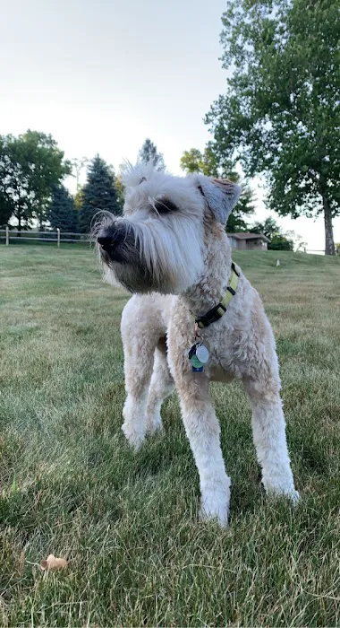 Bridgeville Animal Hospital 1