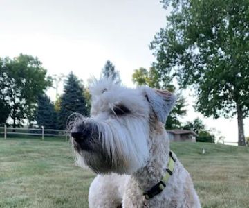 Bridgeville Animal Hospital