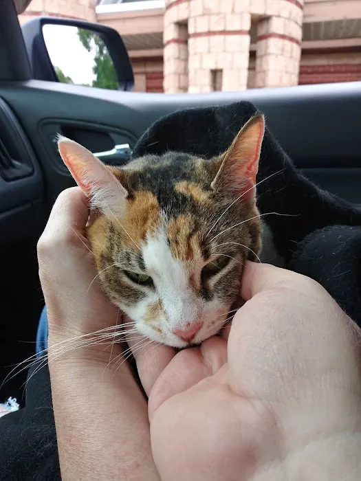 Bridgeville Animal Hospital 9