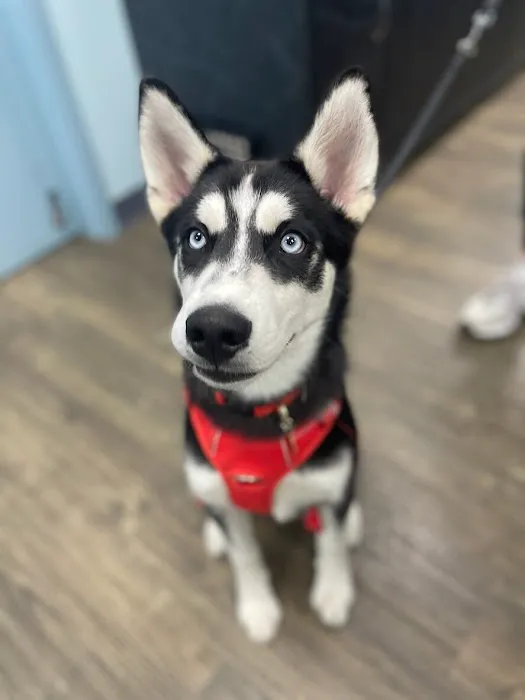 Family Vet Care Center 2