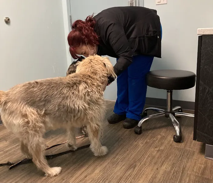 Family Vet Care Center 1
