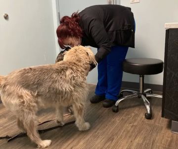 Family Vet Care Center