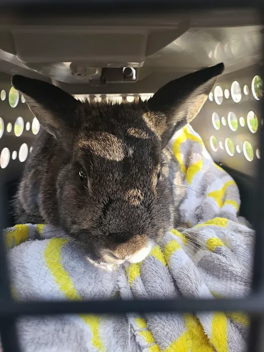 Bethel Park Animal Clinic 6