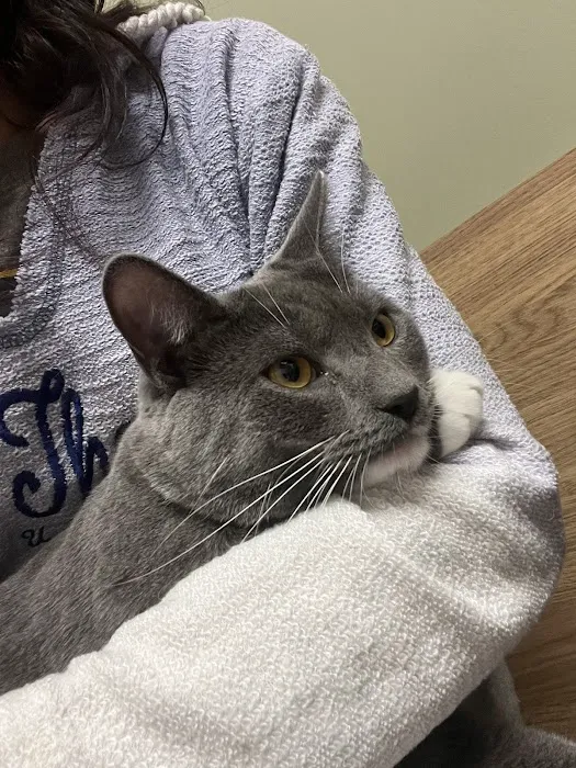 Bethel Park Animal Clinic 1