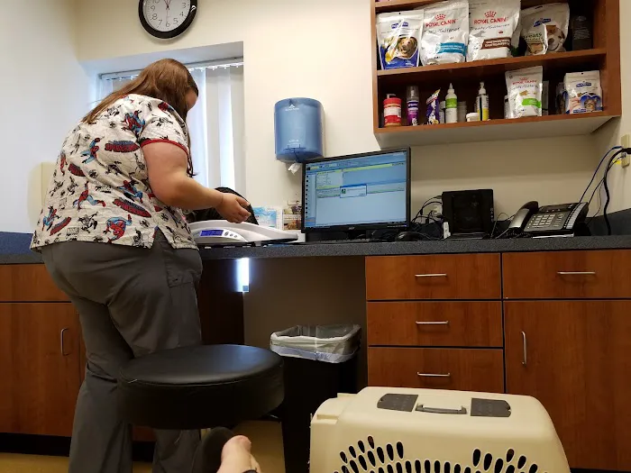 Bethel Park Animal Clinic 8