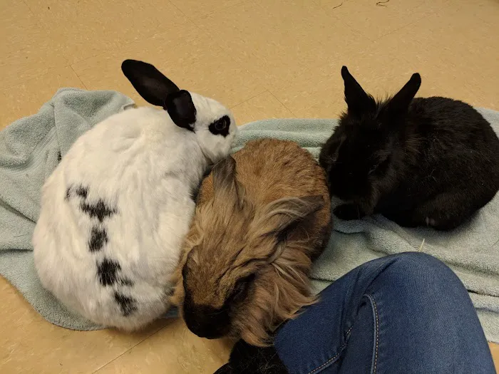Bethel Park Animal Clinic 7