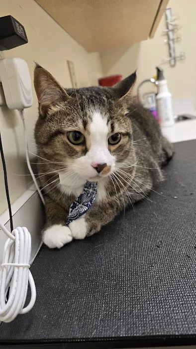 Greentree Animal Clinic 6