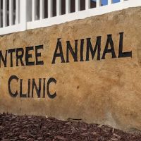 Greentree Animal Clinic ico