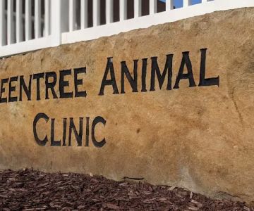Greentree Animal Clinic