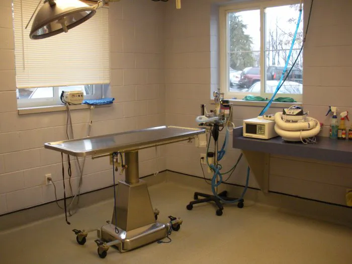 VCA Duncan Manor Animal Hospital 5