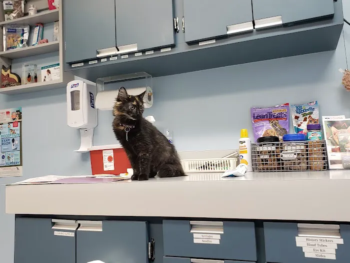 VCA Duncan Manor Animal Hospital 1