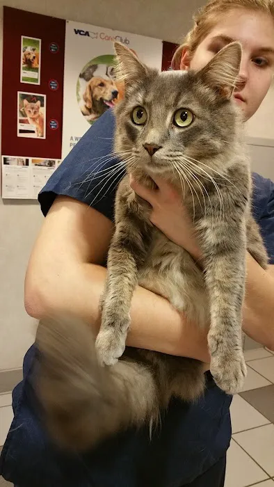 VCA Duncan Manor Animal Hospital 2
