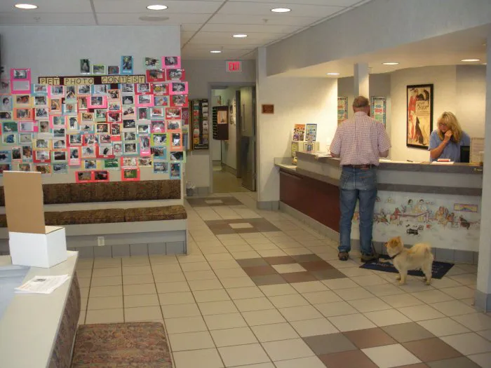 VCA Duncan Manor Animal Hospital 4