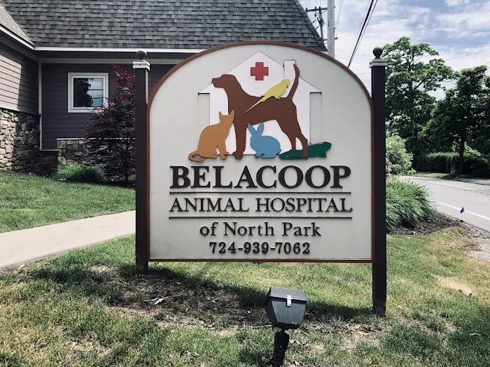 BelaCoop Animal Hospital of North Park 7