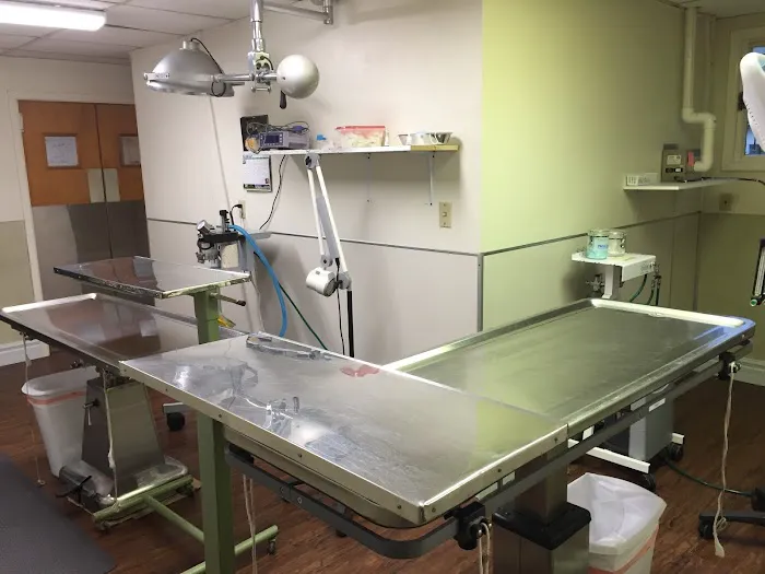 Spay Neuter Clinic: Pittsburgh - North Hills 10