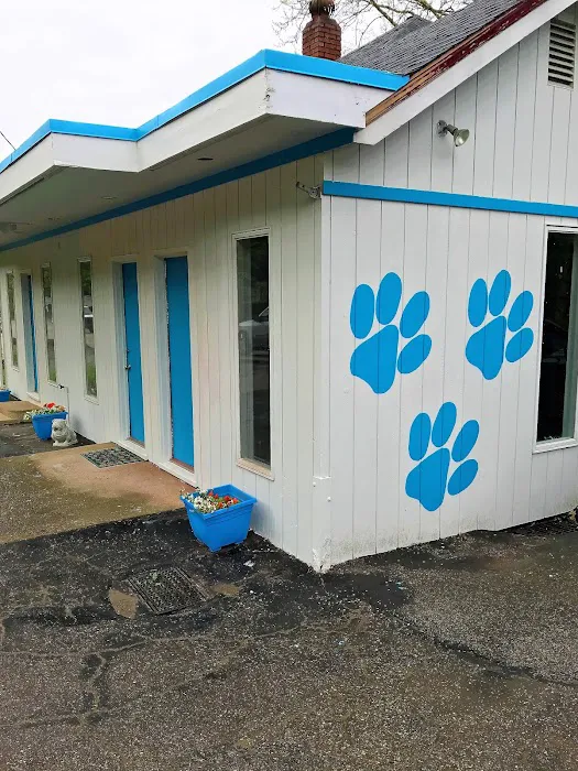 Spay Neuter Clinic: Pittsburgh - North Hills 6