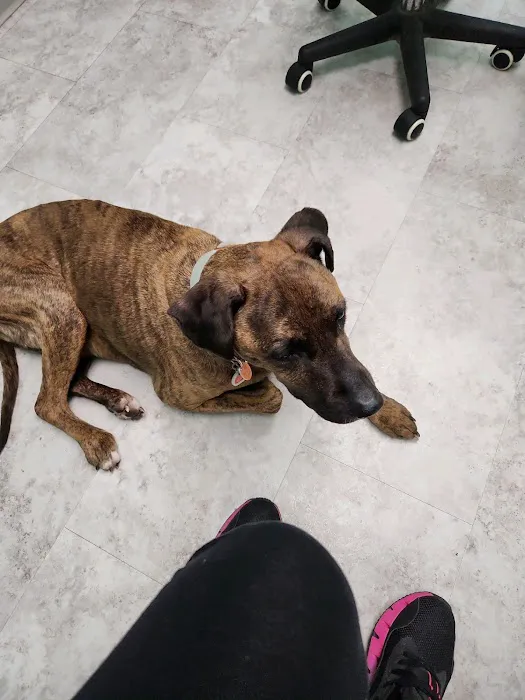West Liberty Animal Hospital 4