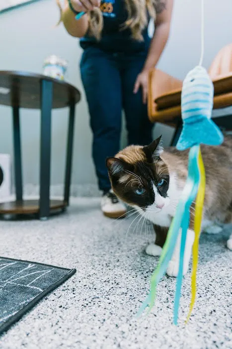 PetVet365 Pet Hospital Pittsburgh / The Terminal 7