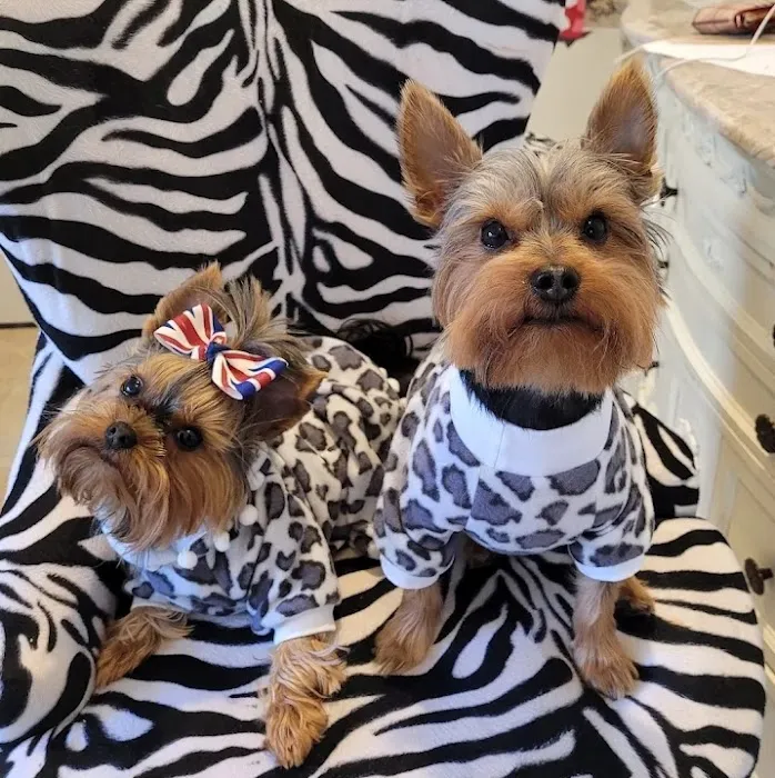 Penn Animal Hospital 9