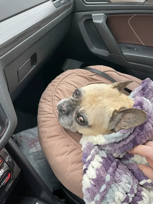 Penn Animal Hospital 8