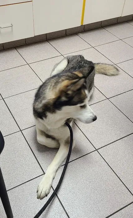 Rivers Veterinary Urgent Care 4