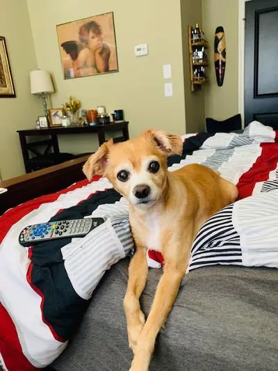 Rivers Veterinary Urgent Care 3