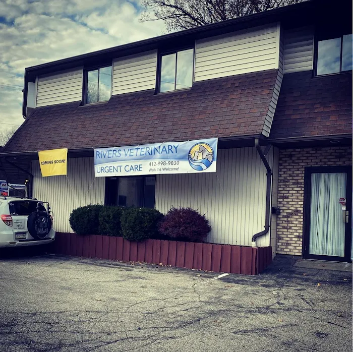 Rivers Veterinary Urgent Care 10
